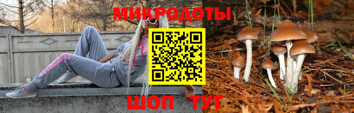 Алексеевка  Галлюциногенные грибы Cubensis  Вход с VPN  Псилоцибиновые грибы мухоморы 