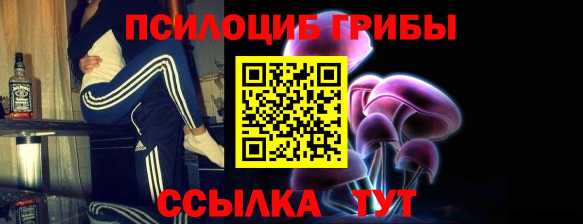 Псилоцибиновые грибы мицелий Алексеевка